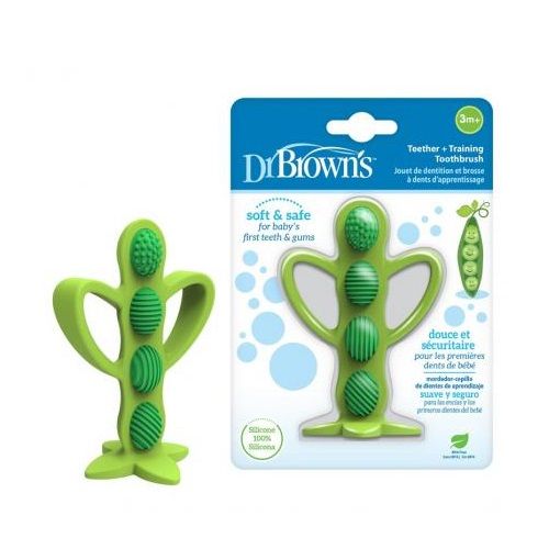 Teether+training toothbrush DrBrowns