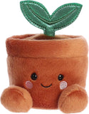 Palm Pals