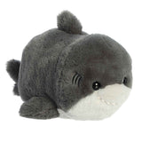 Aurora Medium Sebastian Shark
