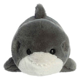 Aurora Medium Sebastian Shark