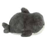 Aurora Medium Sebastian Shark