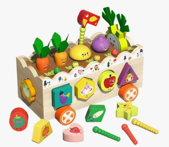 Vegetales sorting toys
