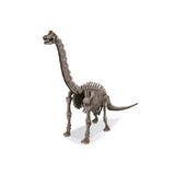 Dig a Dinosaur Skeleton Brachiosaurus