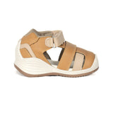 Precaminadores Biométricos miel