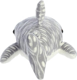Whale Shark